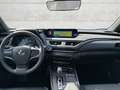 Lexus UX 300e Luxury HUD NAV MatrixLED Leder ACC ASSI Grau - thumbnail 11