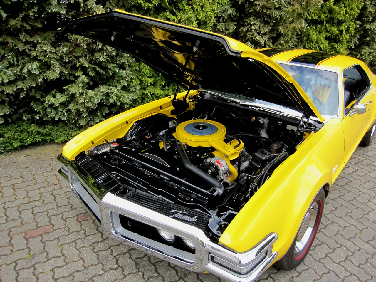 Oldsmobile Toronado "Deluxe Coupe", foto 12