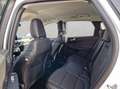 Ford Kuga 2.5 Duratec PHEV TITANIUM X Weiß - thumbnail 14