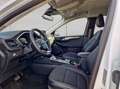 Ford Kuga 2.5 Duratec PHEV TITANIUM X Weiß - thumbnail 7