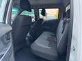 Mercedes-Benz Sprinter 419 - 2.0D - CASSONE FISSO 4.40M NUOVO Blanco - thumbnail 9
