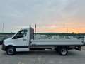 Mercedes-Benz Sprinter 419 - 2.0D - CASSONE FISSO 4.40M NUOVO Blanco - thumbnail 13