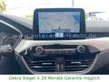 Ford Kuga Plug-In Hybrid.2.5.Navi.App.PDC.AHK.1-Hand Schwarz - thumbnail 18