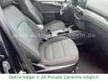 Ford Kuga Plug-In Hybrid.2.5.Navi.App.PDC.AHK.1-Hand Schwarz - thumbnail 11