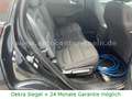 Ford Kuga Plug-In Hybrid.2.5.Navi.App.PDC.AHK.1-Hand Schwarz - thumbnail 13