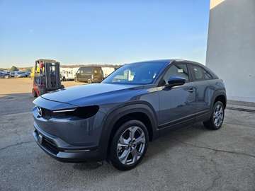 35,5kWh Executive OBC 7,4kW - FURTO PARZIALE