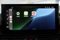 Audi Q5 SPB 40 TDI quattro S tronic S line plus 40.946 KM! Gris - thumbnail 40