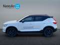 Volvo XC40 Black Edition Ultra, B3 Mild Hybrid, Benzin Weiß - thumbnail 8