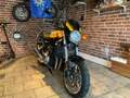 Kawasaki Z900RS Z900RS SE Sonderumbau Giallo - thumbnail 7