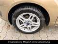 Ford Fiesta Titanium 5TRG/Zahnriemen-NEU/Garantie Braun - thumbnail 17