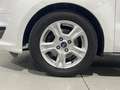 Ford Tourneo Courier 1.0 Ecoboost Ambiente Blanco - thumbnail 24