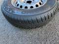 Fiat Panda Panda 1,1 ECO Active ECO Active Schwarz - thumbnail 15