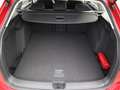 Volkswagen Golf Variant Life 1.0 eTSI DSG ACC/APP/NAVI Rot - thumbnail 7