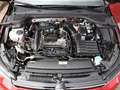 Volkswagen Golf Variant Life 1.0 eTSI DSG ACC/APP/NAVI Rot - thumbnail 15
