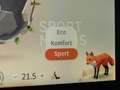 smart #1 Pro+ Pano+Ambiente+360+Cam+Keyl+Totw+EASY-P - thumbnail 17