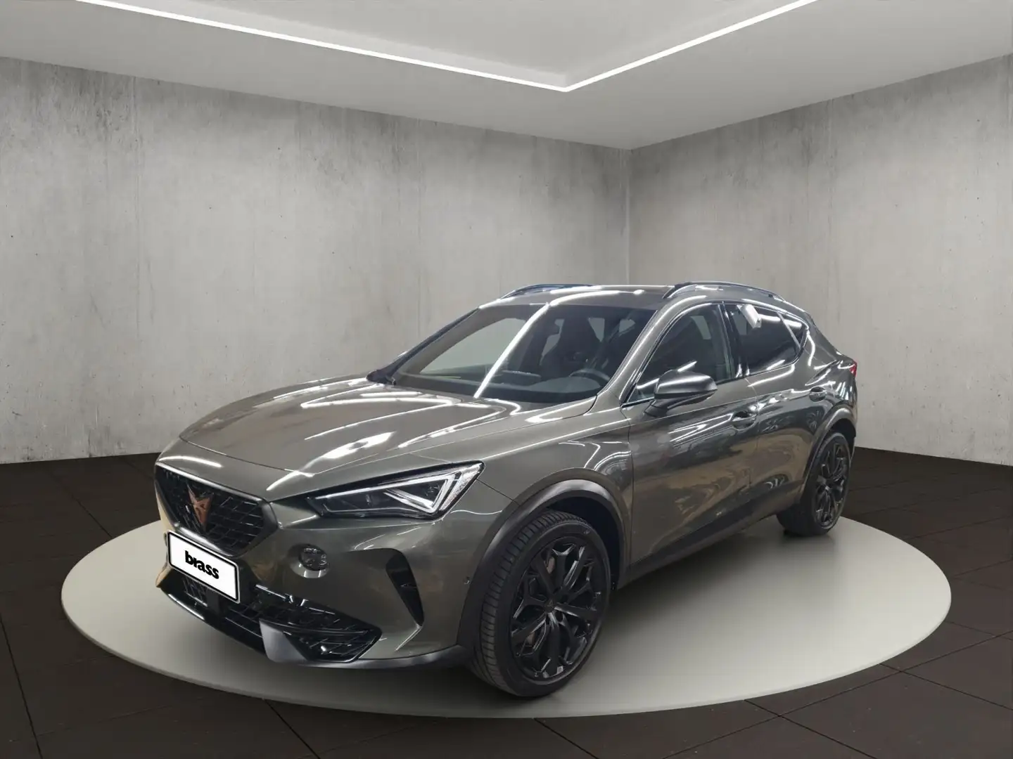 CUPRA Formentor VZ Grau - 1