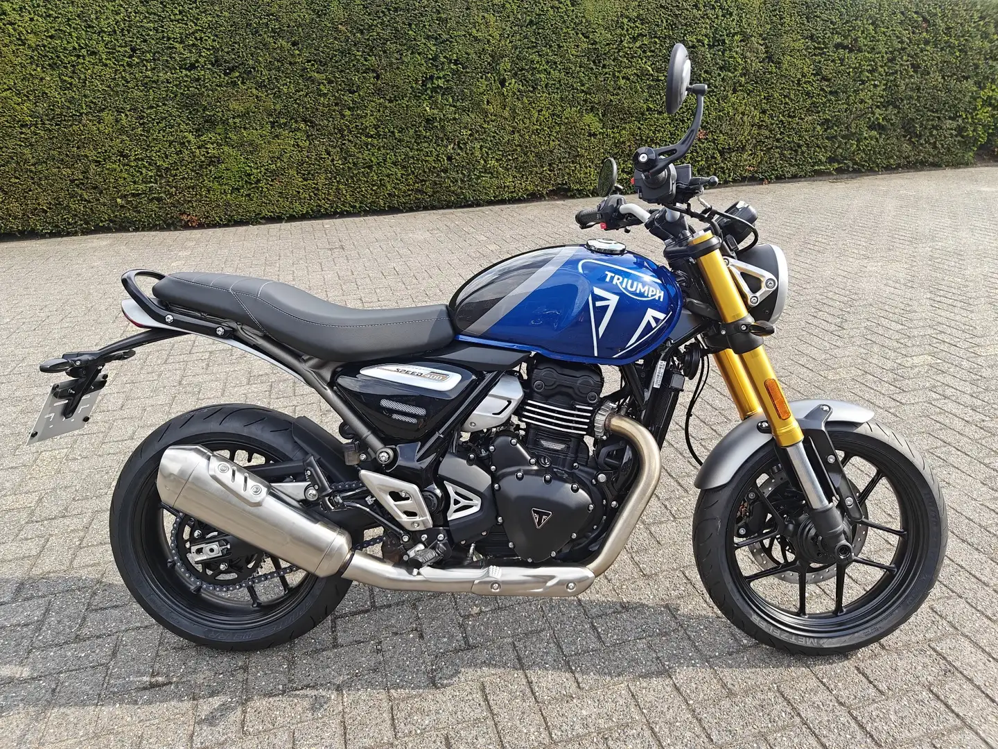 Triumph Speed 400 Bleu - 2
