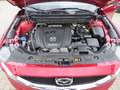 Mazda CX-5 Kangei AWD,StartStop,360Grad,LED,Laneassist Rouge - thumbnail 19