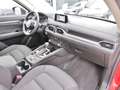 Mazda CX-5 Kangei AWD,StartStop,360Grad,LED,Laneassist Rot - thumbnail 16