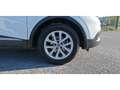 Renault Kadjar 1.5 Energy dCi 110  Intens Blanc - thumbnail 21