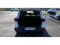 Renault Kadjar 1.5 Energy dCi 110  Intens Blanc - thumbnail 17