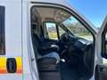 Fiat Ducato Fiat Weinsberg Carabus 600K|4 Berth|Fully Equipped Gri - thumbnail 9