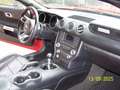 Ford Mustang 3,7 Liter,  V6 Rot - thumbnail 12