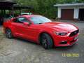 Ford Mustang 3,7 Liter,  V6 Rot - thumbnail 5