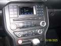 Ford Mustang 3,7 Liter,  V6 Rot - thumbnail 11