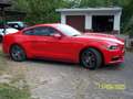 Ford Mustang 3,7 Liter,  V6 Rot - thumbnail 6