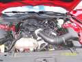 Ford Mustang 3,7 Liter,  V6 Rot - thumbnail 19