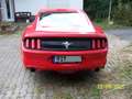 Ford Mustang 3,7 Liter,  V6 Rot - thumbnail 3