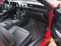 Ford Mustang 3,7 Liter,  V6 Rot - thumbnail 7