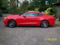 Ford Mustang 3,7 Liter,  V6 Rot - thumbnail 2