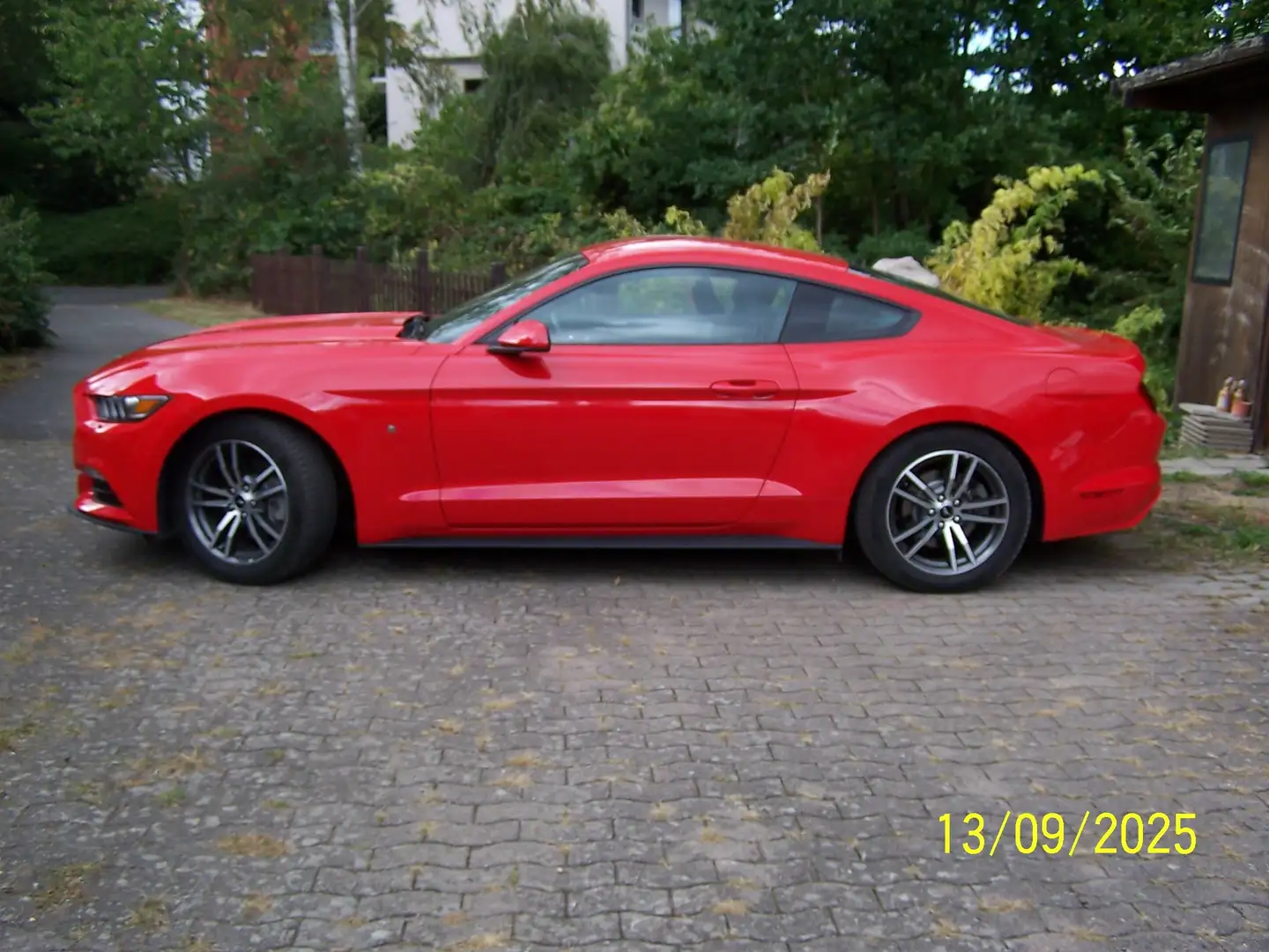 Ford Mustang 3,7 Liter,  V6 Rot - 2