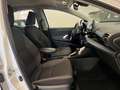 Toyota Yaris 1.5 Hybrid Business CVT Cerchi PREZZO REALE Blanc - thumbnail 7