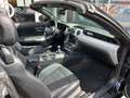 Ford Mustang GT Convertible Schalter super Pfelegezustand Schwarz - thumbnail 10