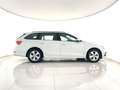 Skoda Octavia Wagon 2.0 tdi evo Executive 4x4 150cv dsg ACC+APP Bianco - thumbnail 7