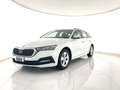 Skoda Octavia Wagon 2.0 tdi evo Executive 4x4 150cv dsg ACC+APP Bianco - thumbnail 2
