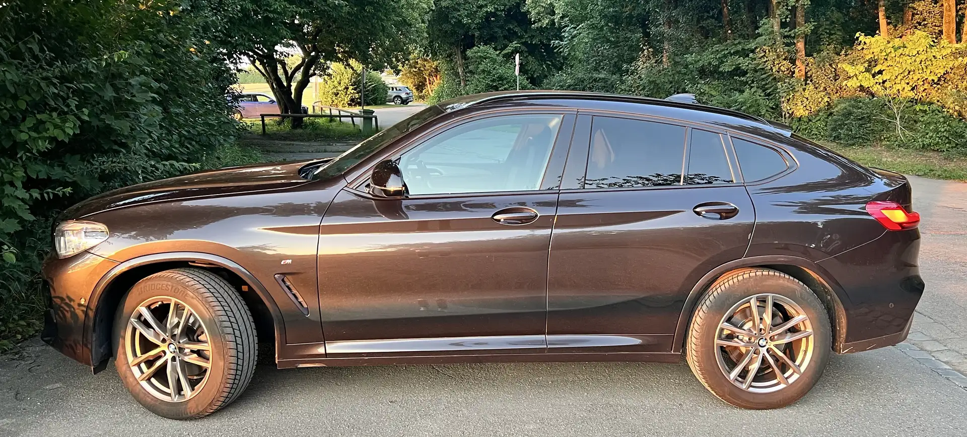 BMW X4 xDrive20i Aut. xLine - 1