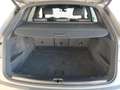 Audi Q5 Q5 40 TDI 204 CV quattro S tronic S line plus Gris - thumbnail 14