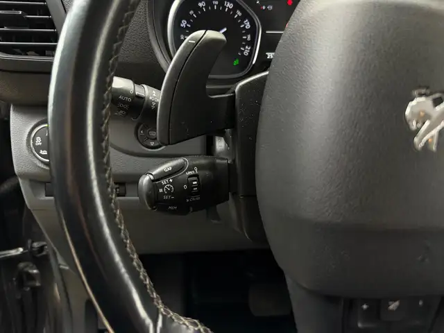 Peugeot Expert view 29