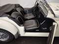 Triumph TR3 petite bouche Blanc - thumbnail 42