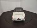 Triumph TR3 petite bouche Blanc - thumbnail 21