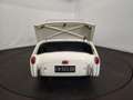 Triumph TR3 petite bouche Blanc - thumbnail 45