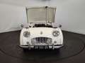 Triumph TR3 petite bouche Blanc - thumbnail 49