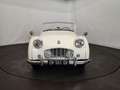 Triumph TR3 petite bouche Blanc - thumbnail 6