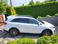 Kia Sorento Sorento 2.2 CRDi AWD Aut.Vision Weiß - thumbnail 4