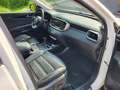 Kia Sorento Sorento 2.2 CRDi AWD Aut.Vision Weiß - thumbnail 7