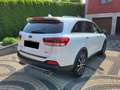 Kia Sorento Sorento 2.2 CRDi AWD Aut.Vision Weiß - thumbnail 3